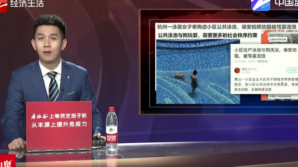 公共泳池与狗玩耍 需要更多的社会秩序约束